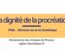 Les évêques rappellent la dignité de la procréation