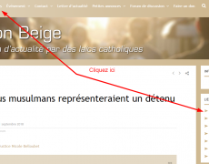 Et pour lire le Salon beige sans cliquer sur chaque article ?