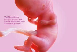 Un acharnement idéologique à nier que l’embryon est un être humain