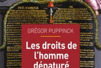 “Les droits de l’homme dénaturé” : Jacques Benhamou reçoit Grégor Puppinck sur RCJ