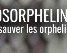 Surprise ? “Sos homophobie” soutient l’extension de la PMA