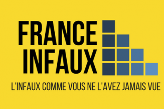 France infox et la propagande LGBT