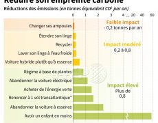 Pour réduire l’empreinte bêtise qui pollue l’intelligence, il faut combien d’idiots en moins ?