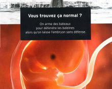 Basses manœuvres au Sénat : les « sages » votent l’inscription de l’avortement dans la Constitution