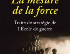La mesure de la force par Motte, Soutou, Lespinois, Zajec