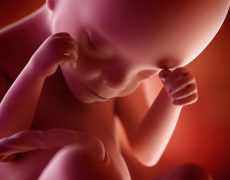 Inde :  le fœtus a « un droit fondamental à la vie » selon la Cour suprême