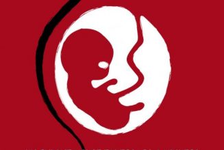 L’argent du sang intra-utérin : l’avortement est une affaire de très gros sous