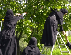 Les soeurs orthodoxes du Monastère de Solan en Provence