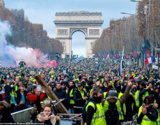 Qui dira la vérité aux gilets jaunes ?