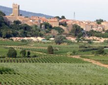 À la recherche du Bonheur – La vie des Chanoinesses de la Mère de Dieu