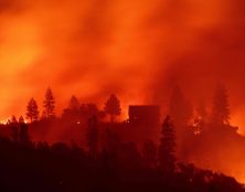 L’écologisme outrancier, cause des incendies en Californie ?