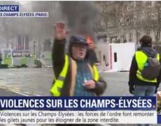 Désinformation sur la peste brune en gilet jaune