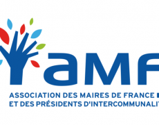 Crise chez les maires. Qui les remplacera ?