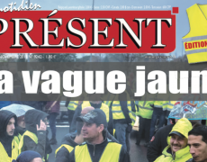 Gilets Jaunes : fausses nouvelles de Christophe Castaner