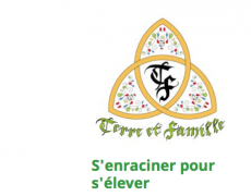 Jaune de colère : la « transition écologique » est un mensonge