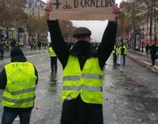 Des chemises brunes aux gilets jaunes : le ridicule ne tue pas.