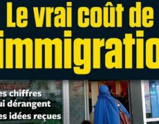 Revendications des Gilets jaunes : les impôts et l’immigration