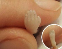 S’émerveiller du miracle de l’origine de la vie