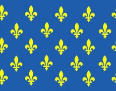 Réflexions d’un gilet jaune et blanc sur nos institutions