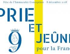 Le 8 décembre, prions la Vierge Marie pour la France