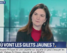 Bonne répartie de la Gilet Jaune Laétitia Dewalle face à Ruth Elkrief