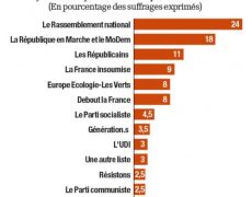 Voilà pourquoi le système LREM veut susciter une liste gilets jaunes aux européennes