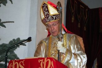 Monseigneur Léonard célèbrera la messe à Chartres le lundi de Pentecôte