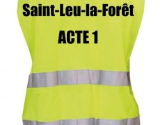 Saint-Leu-la-Forêt (95) : La préfecture refuse un projet de crèche et impose en catimini un centre d’hébergement d’urgence