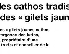 Un complot du Salon beige sur les Gilets jaunes ?