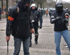 Ils sont complètement marteaux