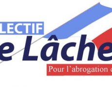 Forte baisse de 17% des parodies de mariages entre personnes de même sexe selon l’INSEE