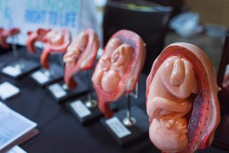 Irlande : 95% des médecins refusent de commettre des avortements