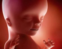 Ils ont choisi de garder leur enfant