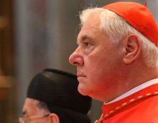 Cardinal Müller : “Aucun évêque n’a le droit d’interdire la messe avec le peuple.”