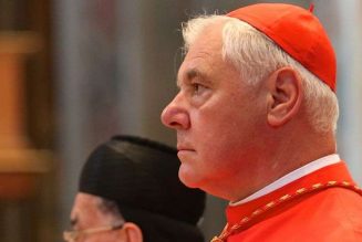 Cardinal Müller : Dans certains pays, on se sert malheureusement de la crise à des fins de politique partisane
