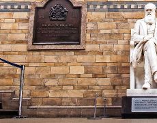 1000 scientifiques expriment leurs doutes concernant la théorie de Darwin
