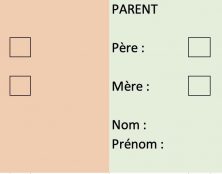 “Parent 1”, “parent 2” supprimé en 2e lecture ?