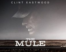 La Mule : le Clint Eastwood de trop ?