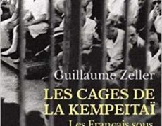Ces Français oubliés, qui ont subi la terreur japonaise