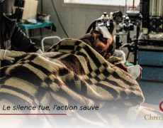 Les chrétiens de Mhardeh sacrifient leur vie pour que le terrorisme n’arrive pas chez vous