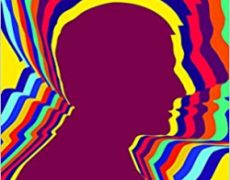 Encore un revers pour Emmanuel Macron