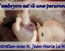 Quel est le statut juridique de l’embryon ?