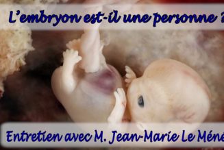 Quel est le statut juridique de l’embryon ?