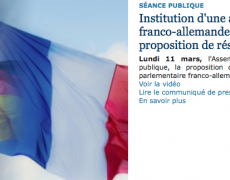 Institution d’une assemblée parlementaire franco-allemande
