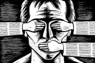 “Sécuriser l’espace numérique” sonne mieux que “censurer les dissidents”