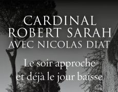 Cardinal Sarah : “J’ai pu apprécier les plus beaux fruits de la colonisation occidentale”
