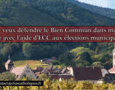 Des maires sur le départ, une chance pour la France réelle