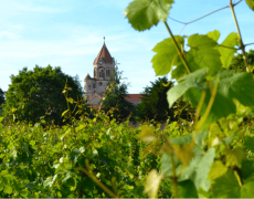 À la découverte de l’abbaye de Lérins, entre terre, mer et Ciel…