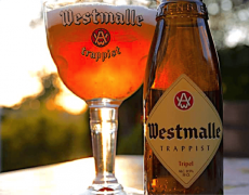 Les 3 infos clés à savoir sur la bière Tripel des moines trappistes de Wesdtmalle