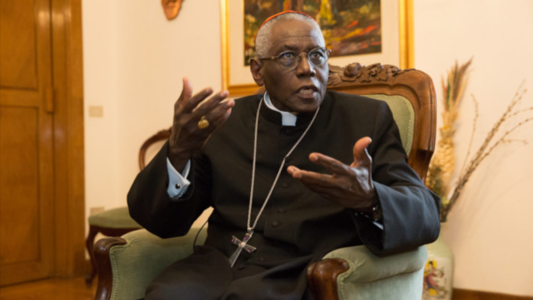 Cardinal Sarah : Dieu ne veut pas la migration… Vous êtes envahis par l’islam